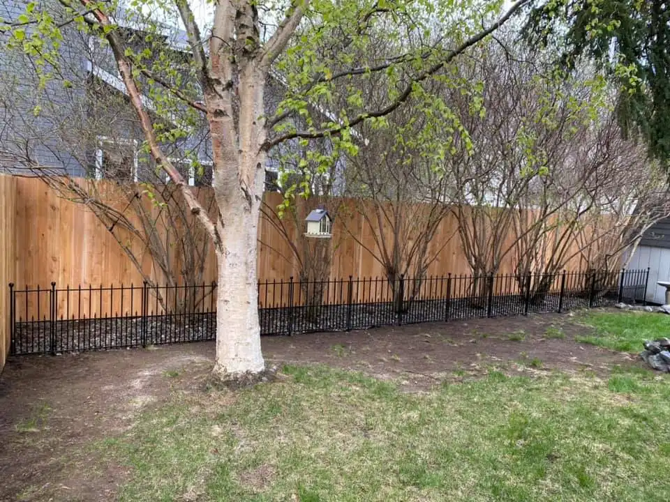 fence contractor near me
